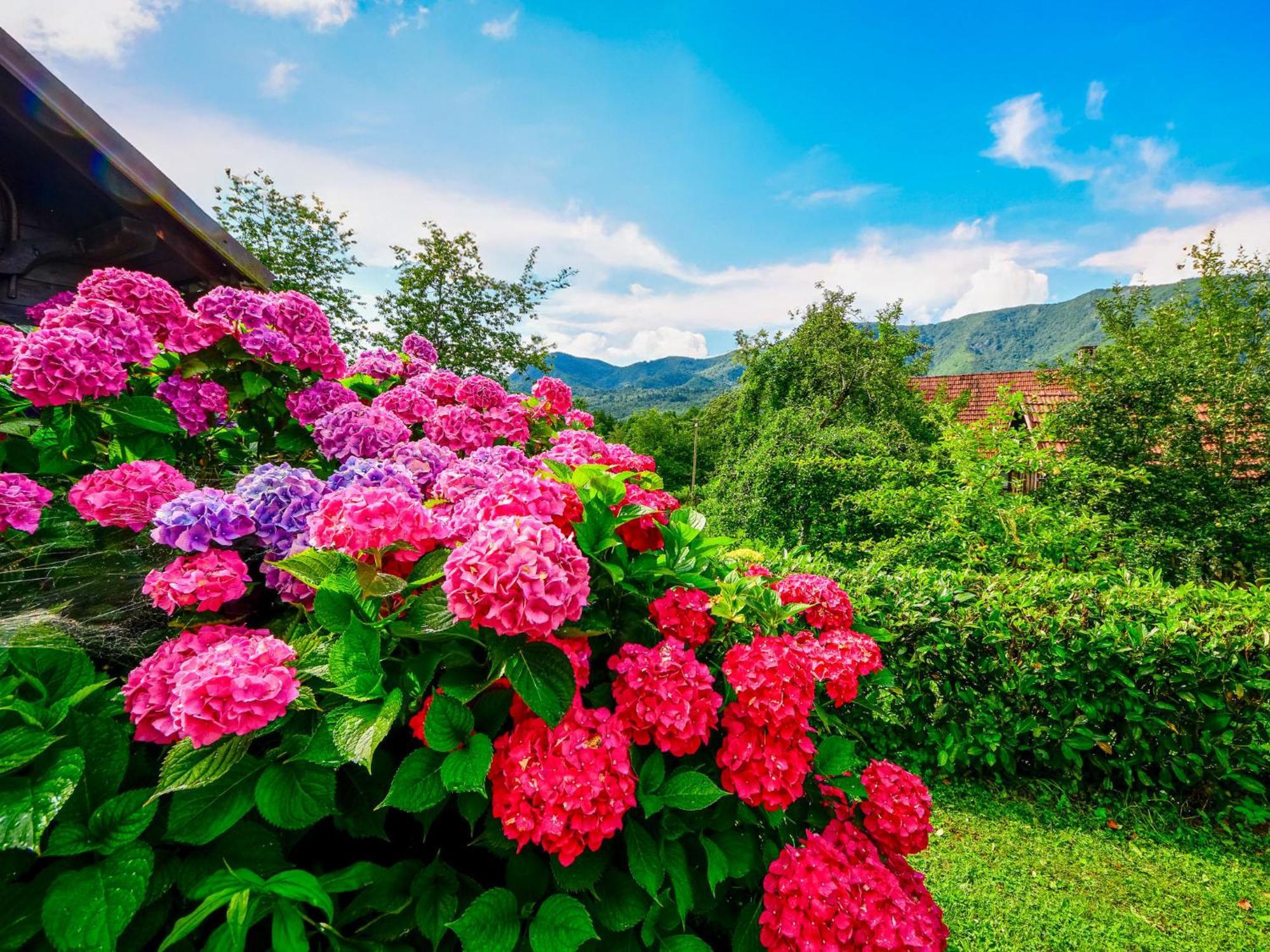 Holiday Home Bozica By Interhome Brod na Kupi Kültér fotó